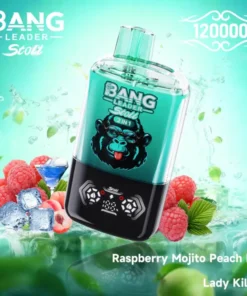 BANG LEADER STOLL 120K Puffs 1