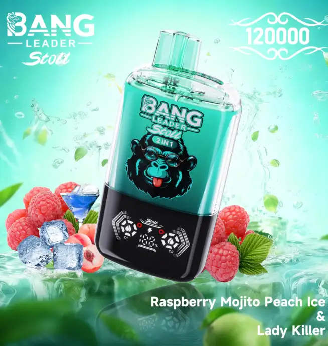 BANG LEADER STOLL 120K Puffs 1