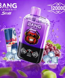 BANG LEADER STOLL 120K Puffs 5
