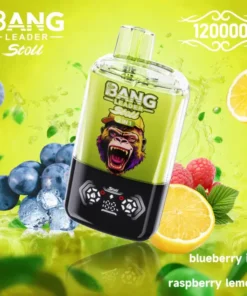 BANG LEADER STOLL 120K Puffs 6