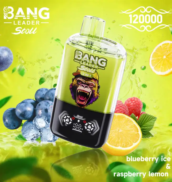 BANG LEADER STOLL 120K Puffs 6