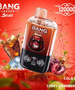 BANG LEADER STOLL 120K Puffs 7
