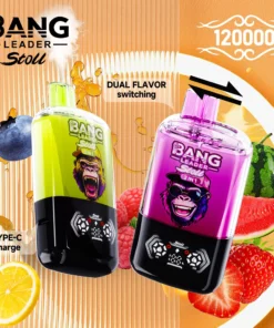 BANG LEADER STOLL 120K Puffs 8