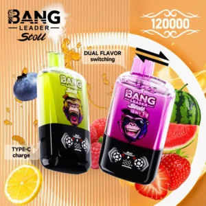 BANG LEADER STOLL 120K Puffs 8