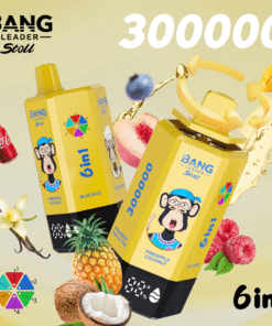 BANG LEADER STOLL 300K Puffs 1