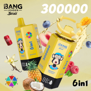 BANG LEADER STOLL 300K Puffs 1