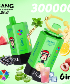 BANG LEADER STOLL 300K Puffs 2