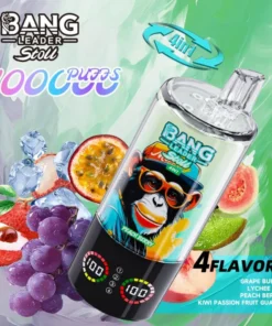 Bang Leader 100K 3
