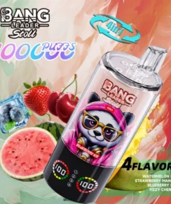 Bang Leader 100K 4