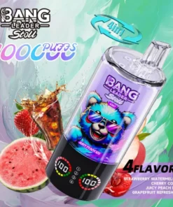 Bang Leader 100K 5