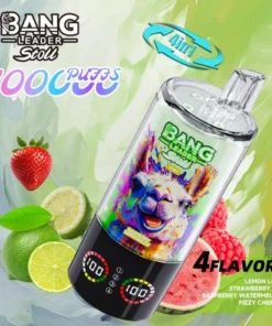 Bang Leader 100K 6
