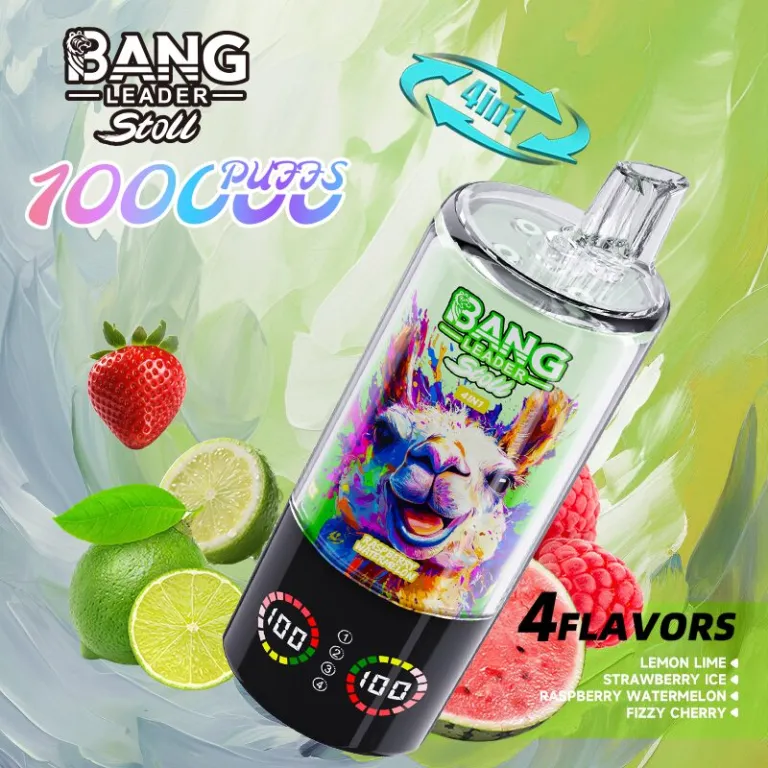 Bang Leader 100K 6