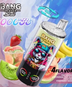 Bang Leader 100K 7