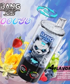 Bang Leader 100K 8