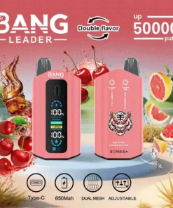 Bang Leader 50000 Puffs Double Flavor 5