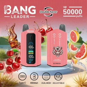 Bang Leader 50000 Puffs Double Flavor 5