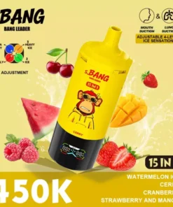 Bang Leader 450K Puffs 15 in 1 1.webp