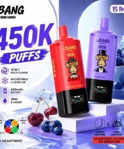 Bang Leader 450K Puffs 15 in 1 2.jpg