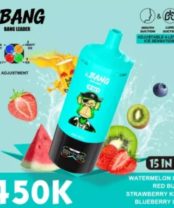Bang Leader 450K Puffs 15 in 1 2.webp