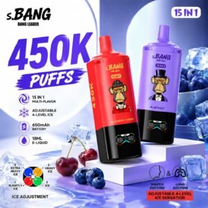 Bang Leader 450K Puffs 15 in 1 2.jpg
