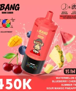 Bang Leader 450K Puffs 15 in 1 5.webp