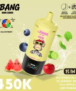 Bang Leader 450K Puffs 15 in 1 6.webp