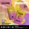Bang Leader 80000 Puffs 3 w 1 7.webp